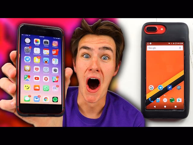 What types of phone cases are available?