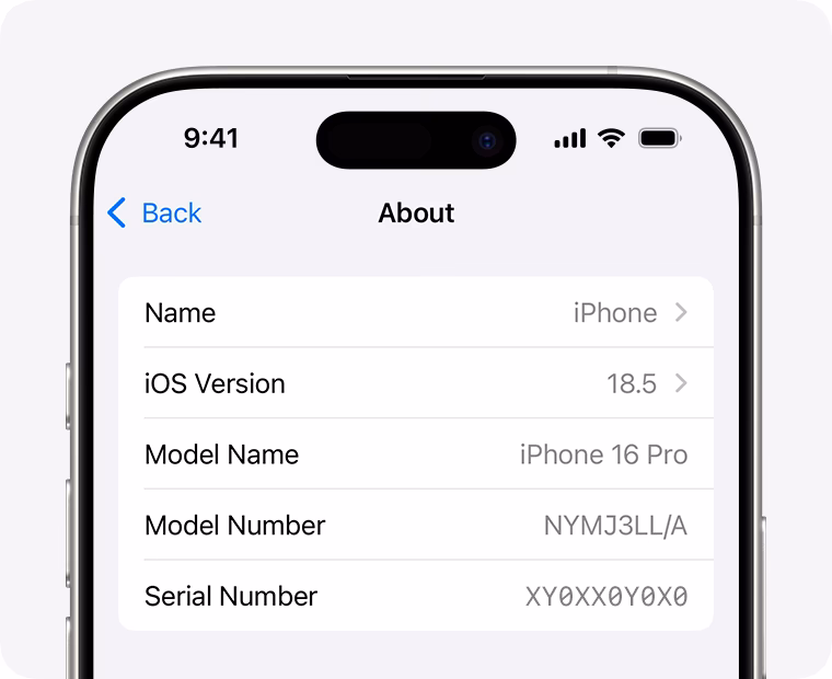 How to check iCloud IMEI status?