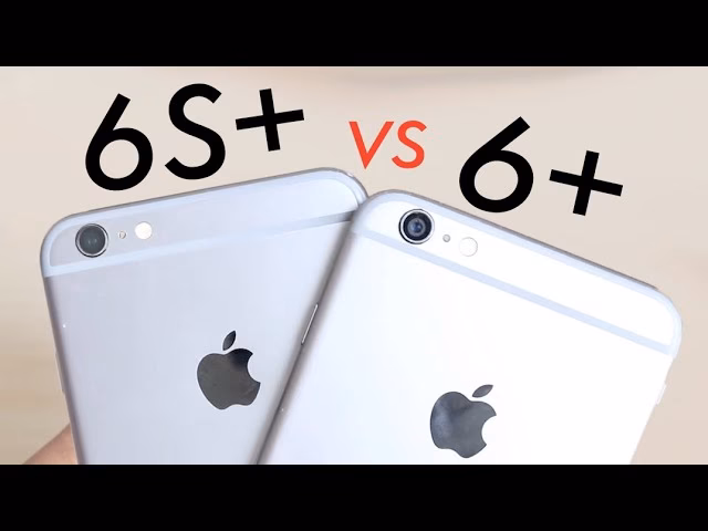 How do you differentiate iPhone 6 and iPhone 6 Plus?