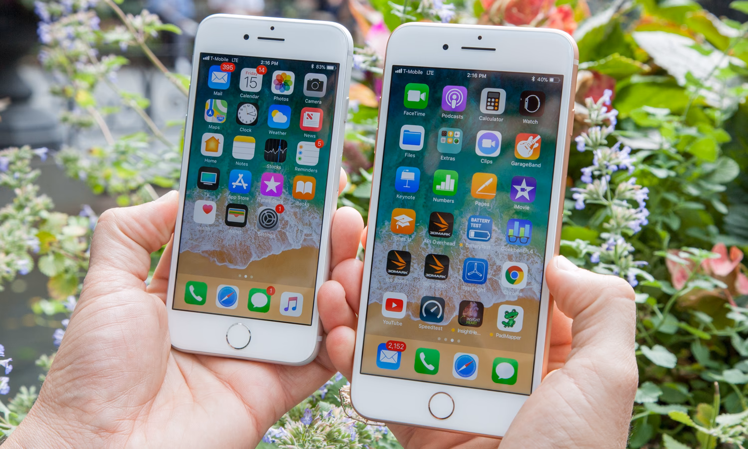 Which iPhones are compatible with Apple iPhone 8 Plus?