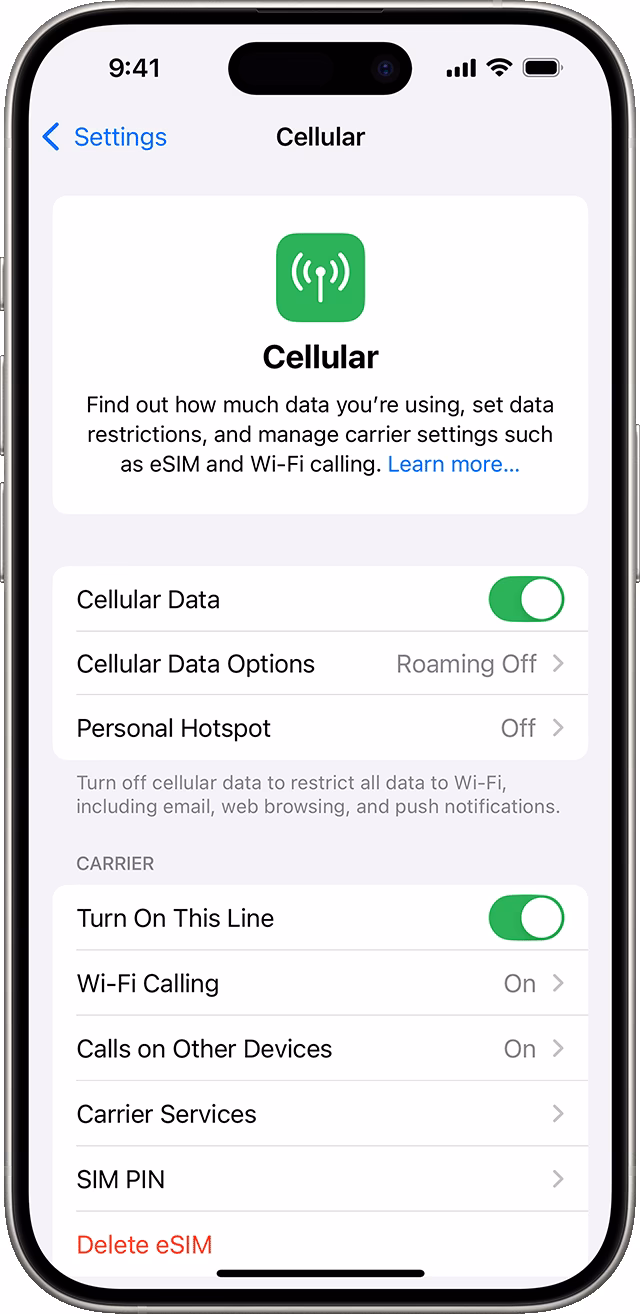 How do I manage “other” data on my iPhone?