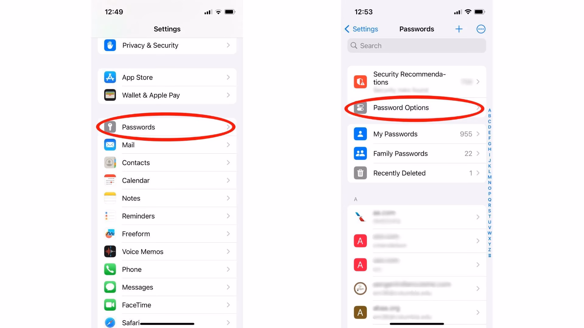 Should you use a password manager on your iPhone?