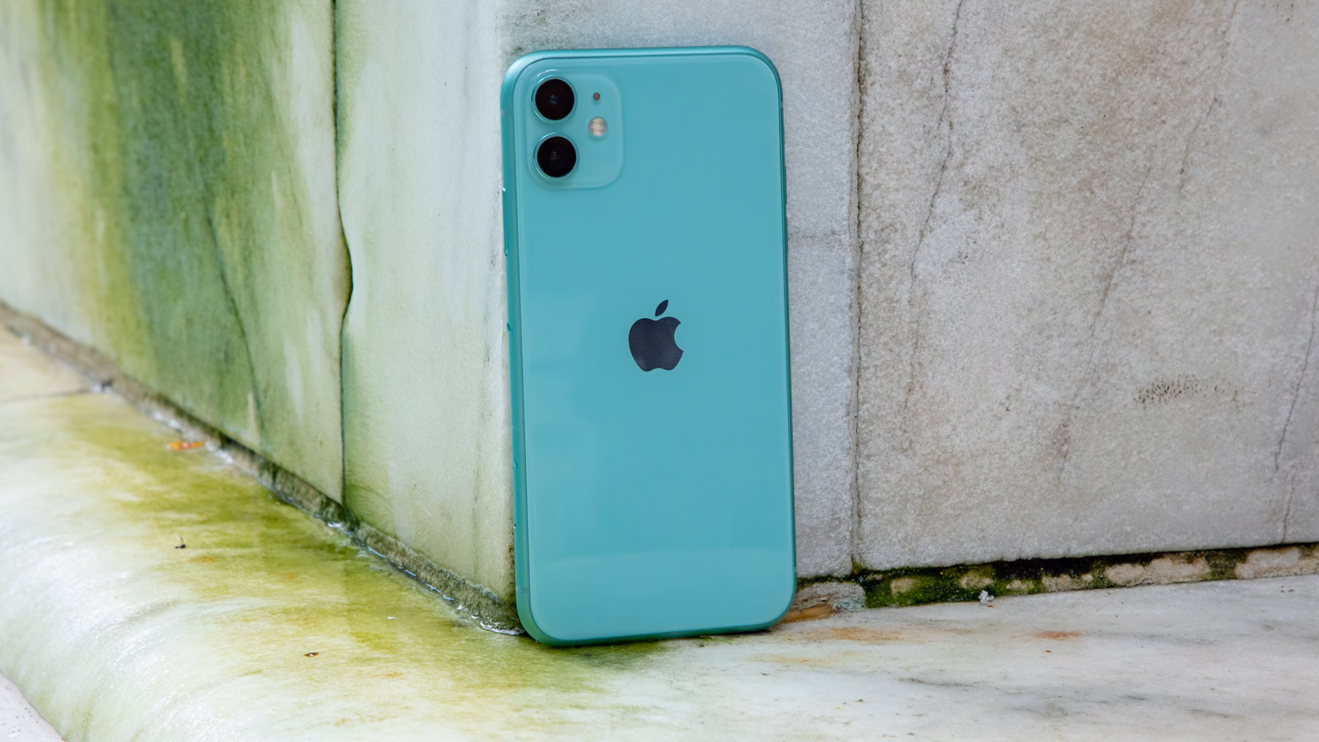 Is iPhone 11 a good camera?