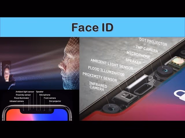 What is the difference between Face ID and flood illuminator?