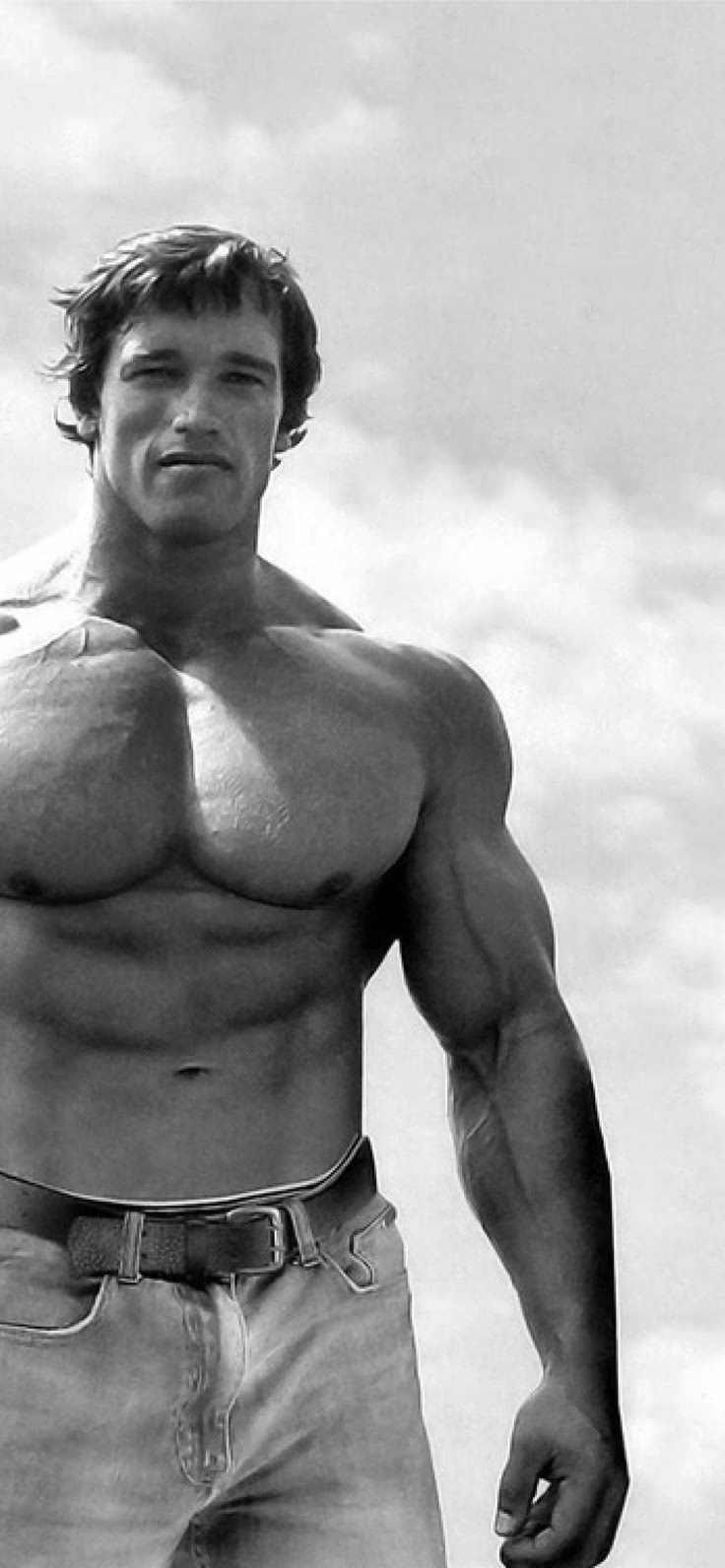 Why should you buy Arnold Schwarzenegger wallpapers?