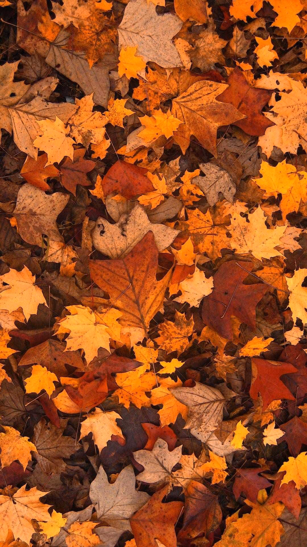 Are fall wallpaper backgrounds free?