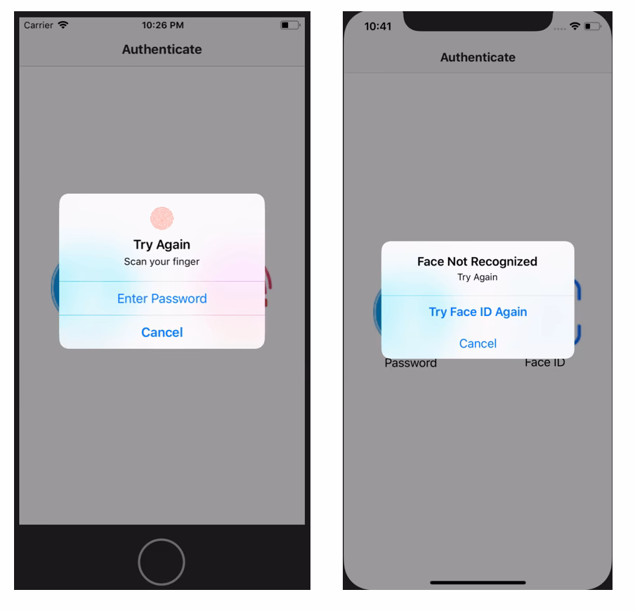 What are the different types of biometric authentication?