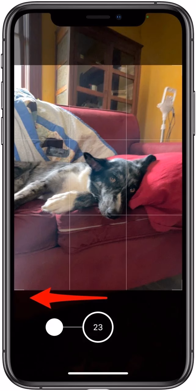 Does the iPhone 11 and 12 have burst mode?