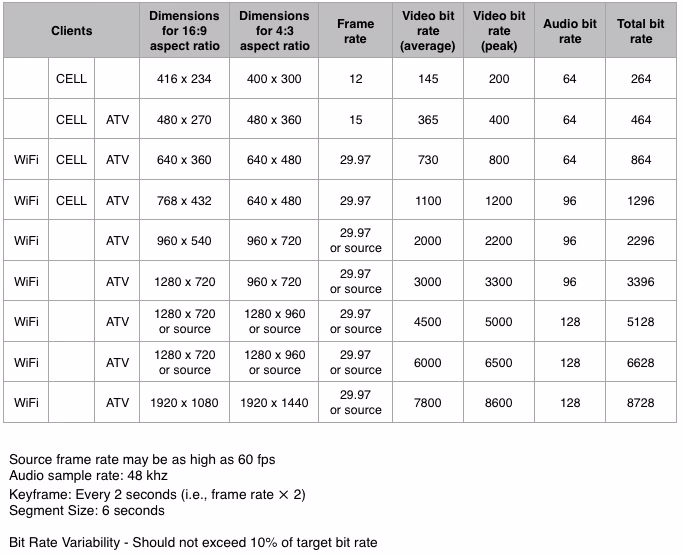 What video codec does iPhone use?