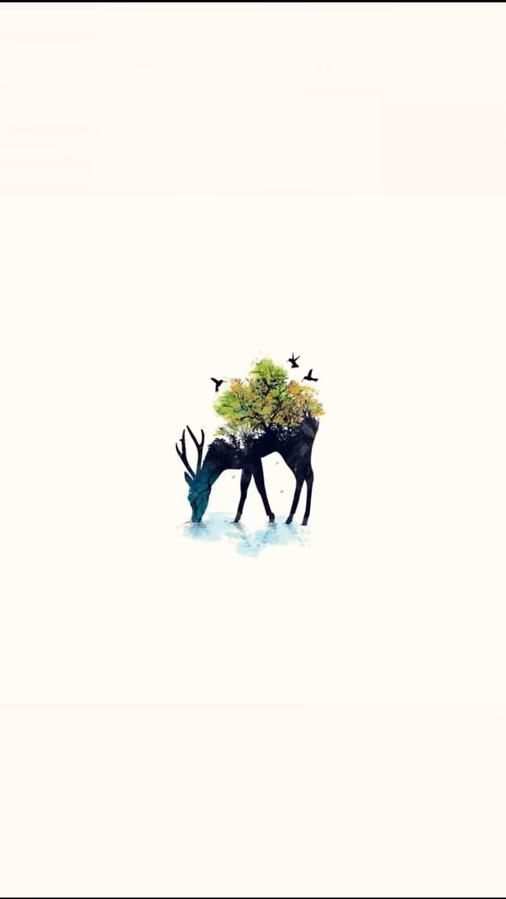 How many minimalist iPhone wallpapers are there?