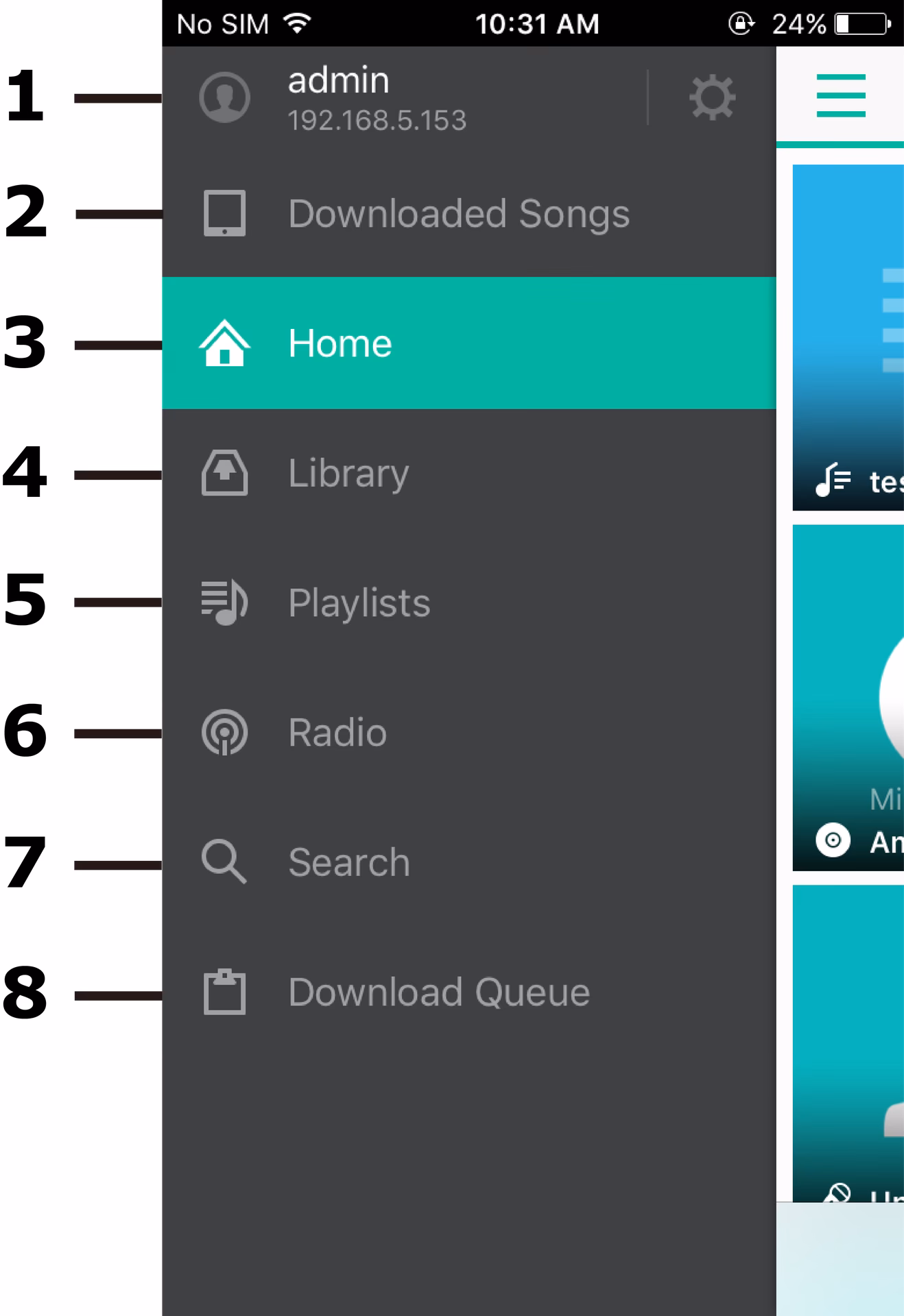 Why is my DS audio not working on iOS?
