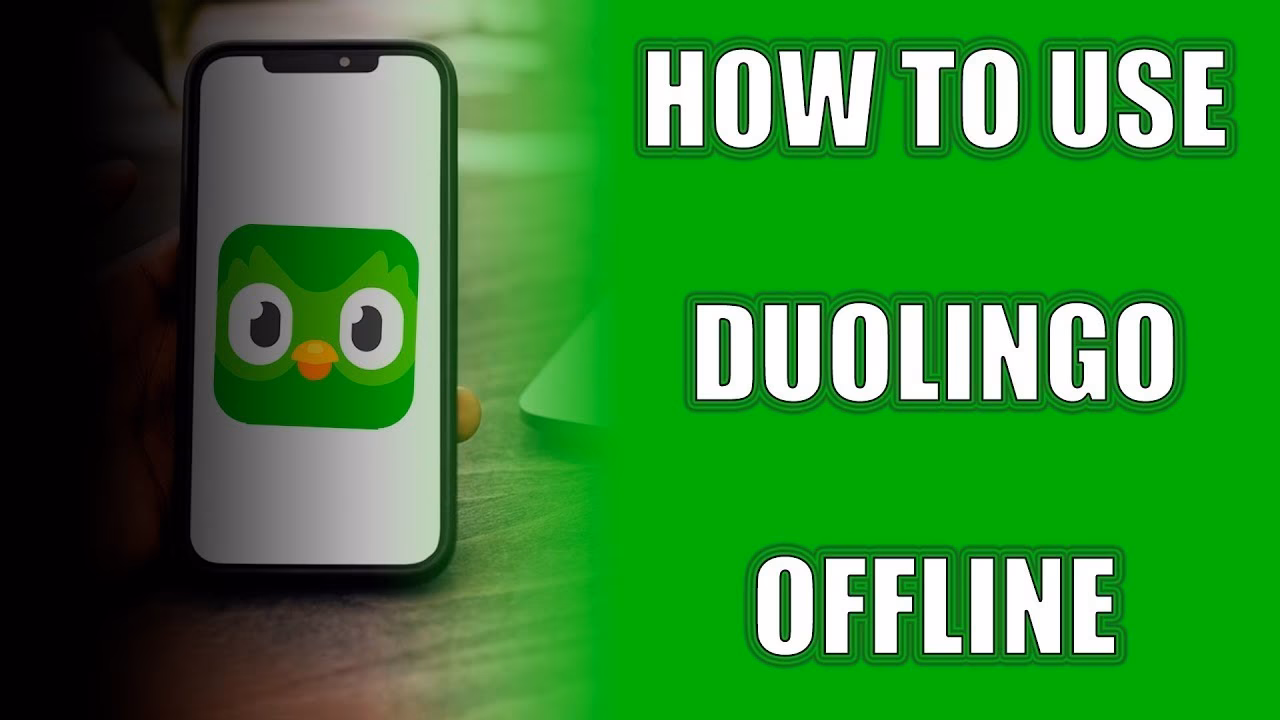 How to fix Duolingo offline message Error?