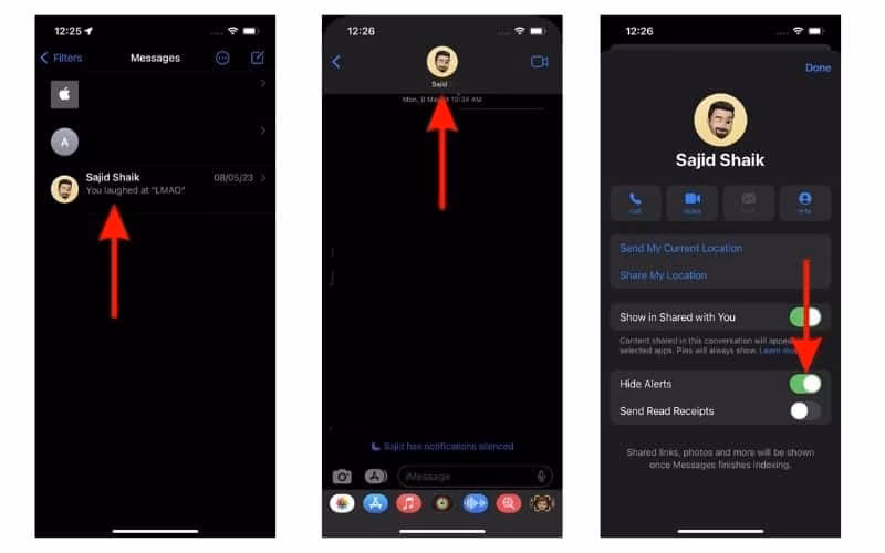 What is hide alerts on iPhone?