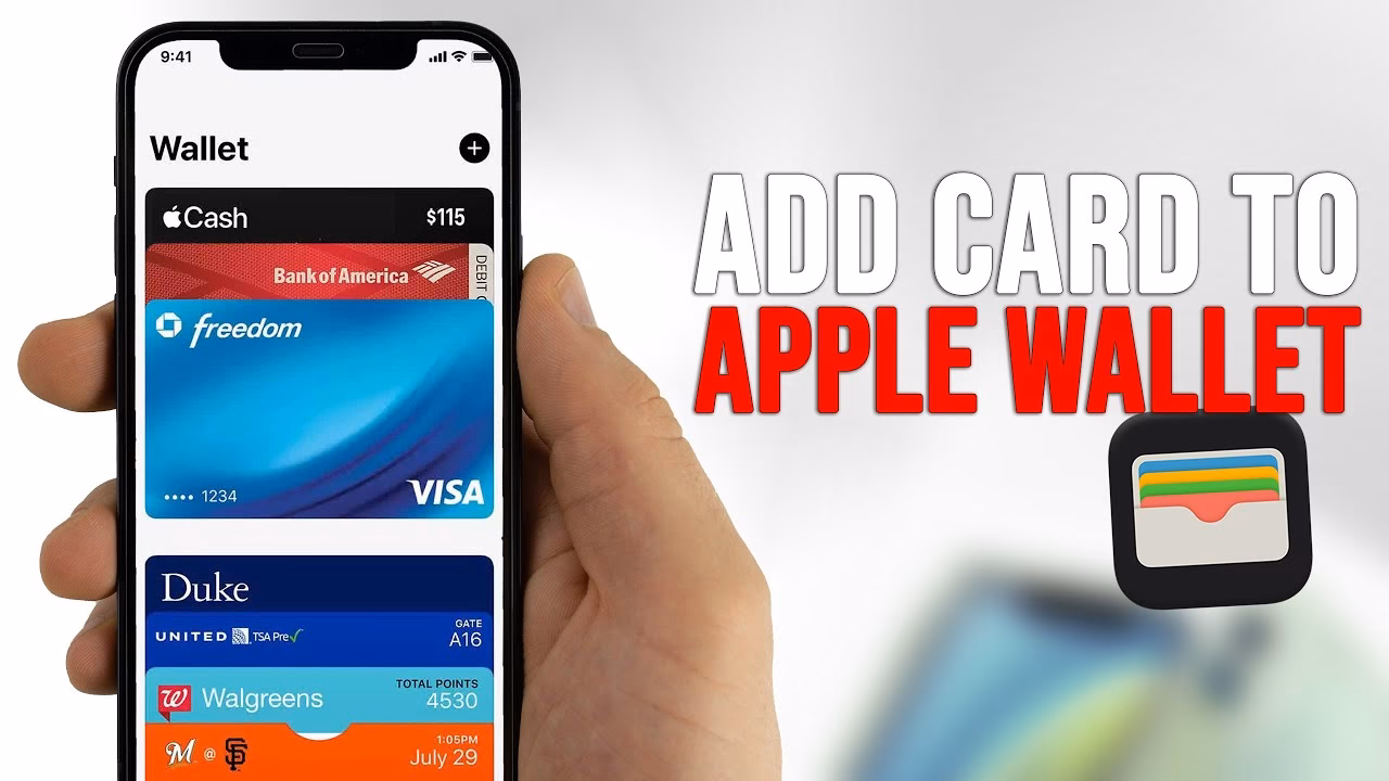 What can my iPhone wallet hold?
