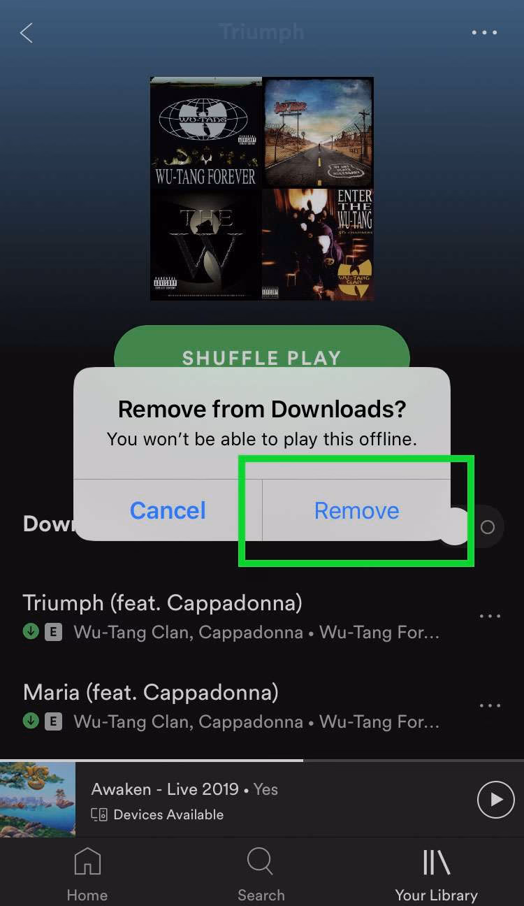 How do I remove downloaded tracks from Spotify?