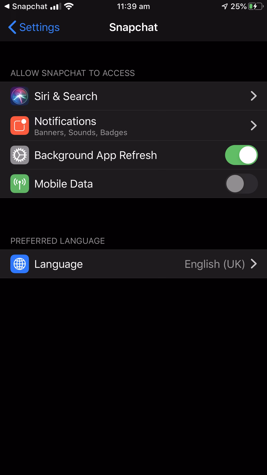 How do I enable camera access on iPhone?