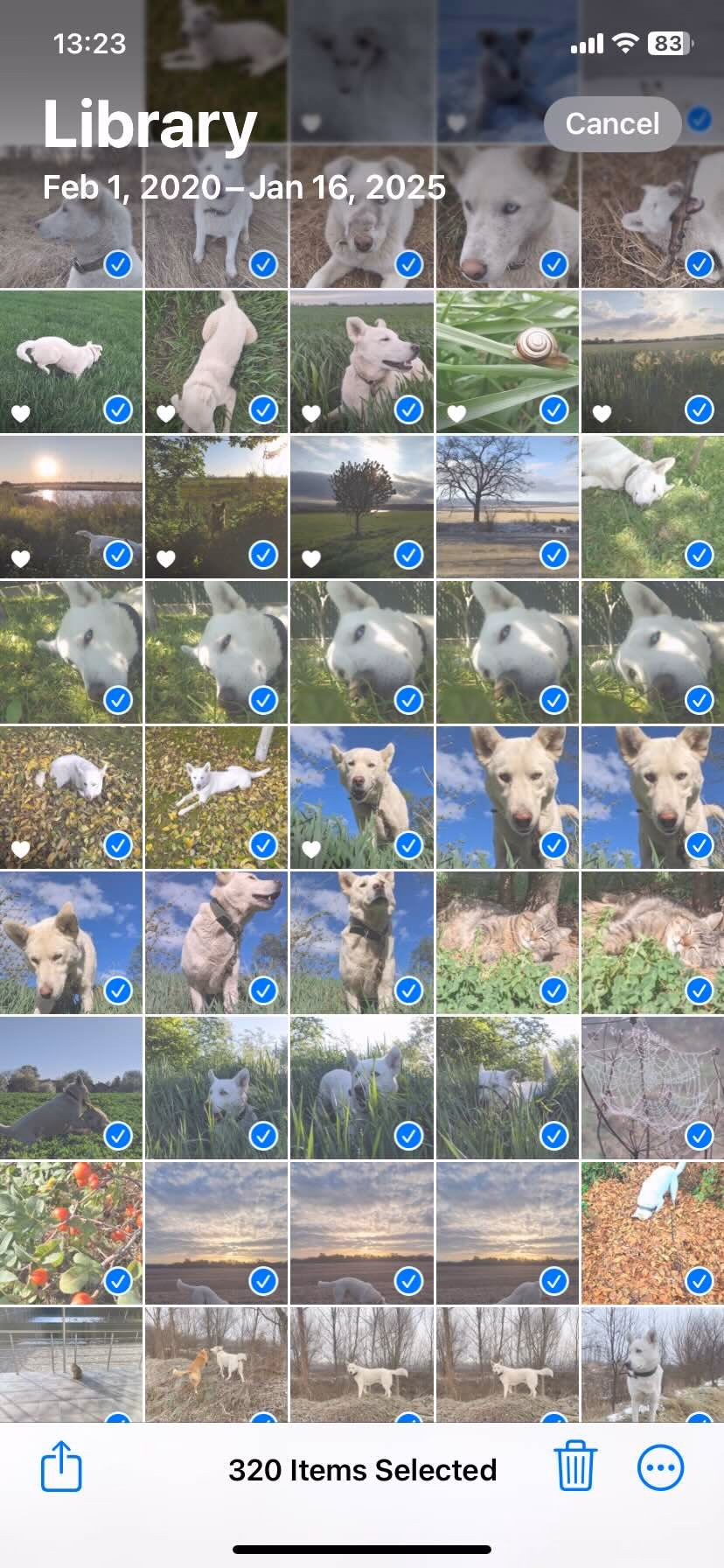 How do I select all photos?