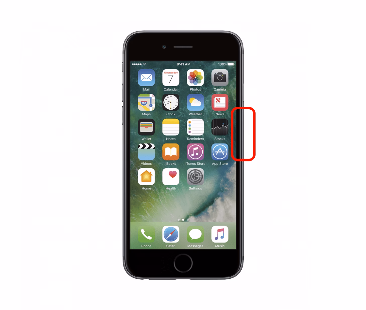 Did You Drop your iPhone in water?