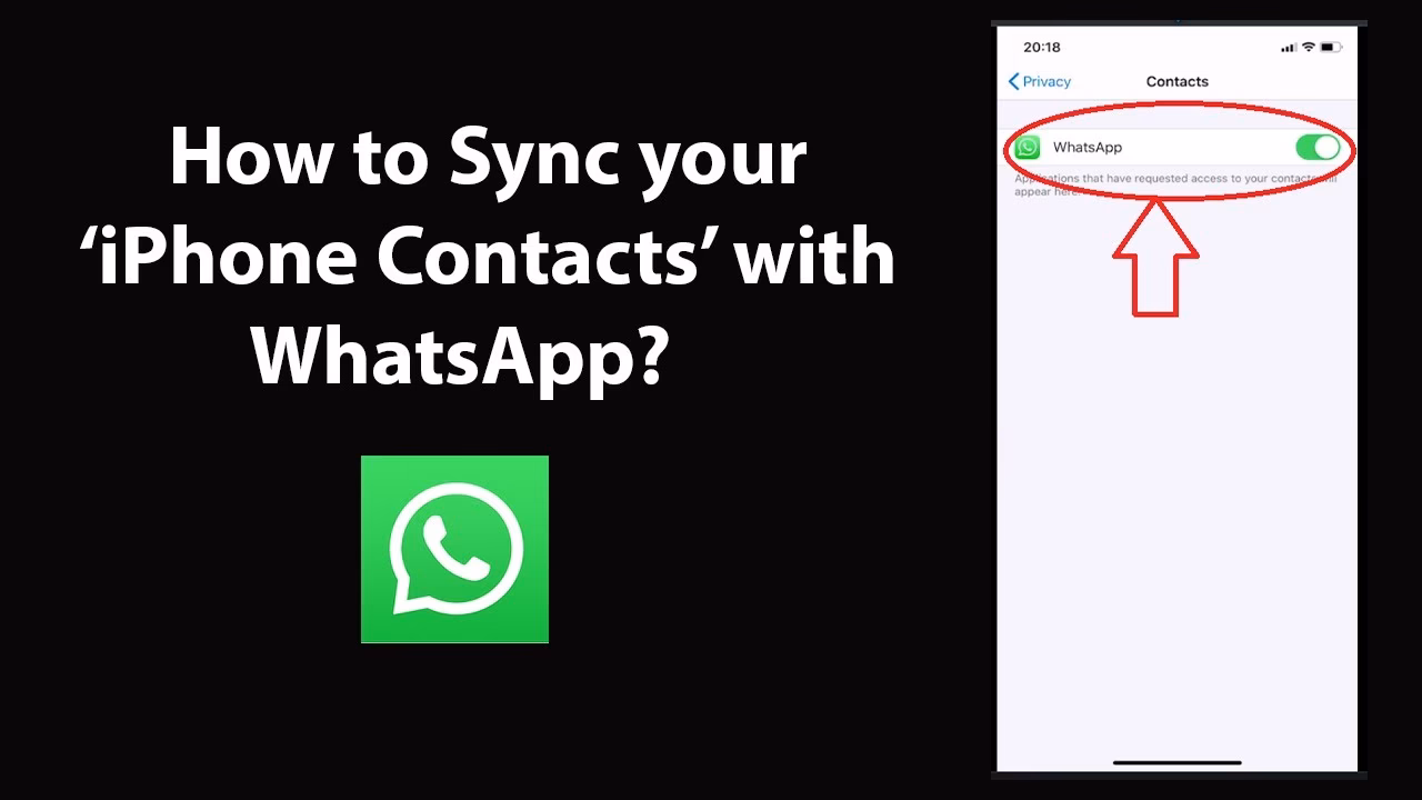 How to export all WhatsApp contacts from iPhone or Android phone?