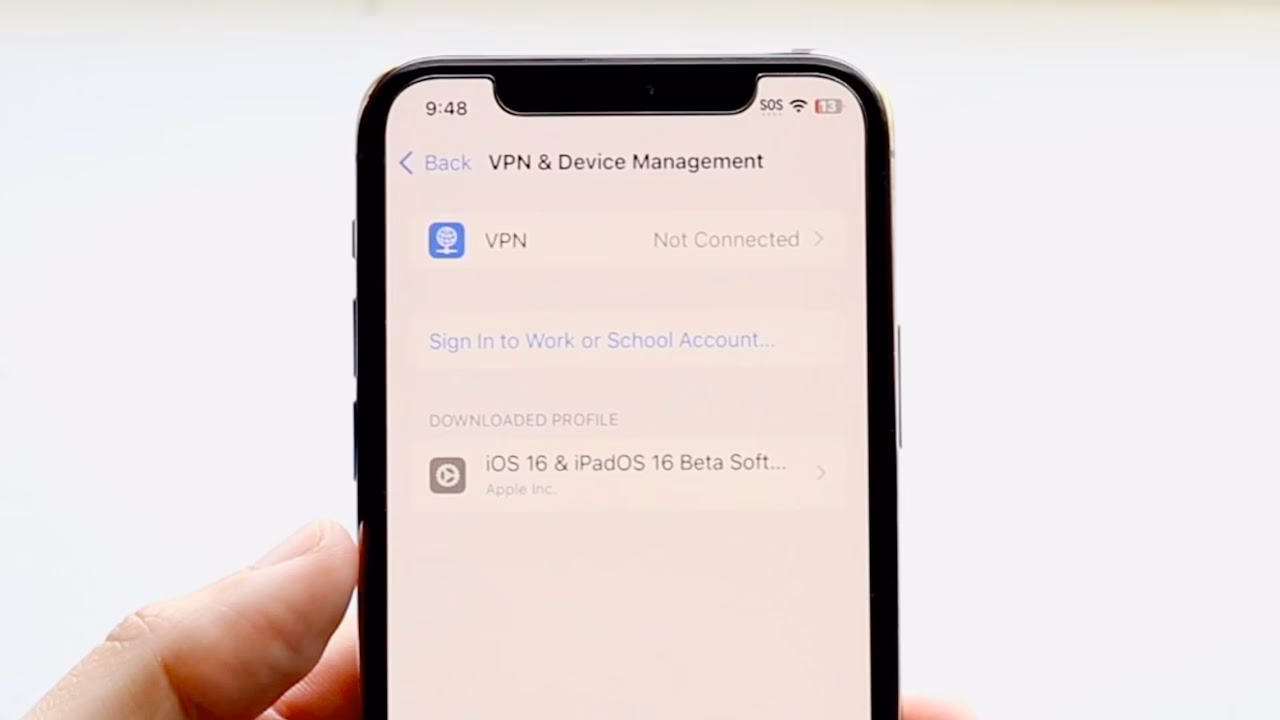 How do I trust a developer on my iPhone?