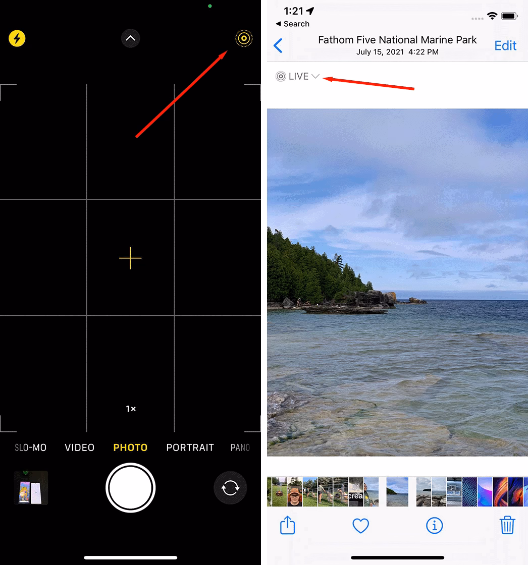 How do I permanently turn off live photos?