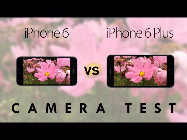 What is the difference between iPhone 6 and iPhone 6 Plus?