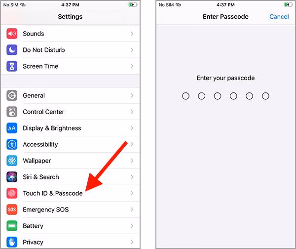 How to remove screen lock on iPhone if you forget password?