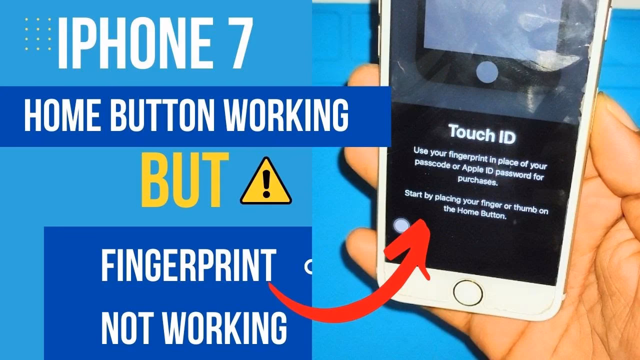 How to fix iPhone not responding?