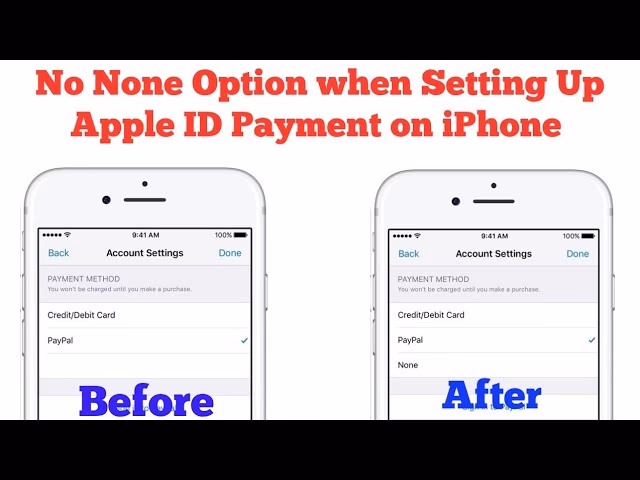 Can I choose none as a payment option?