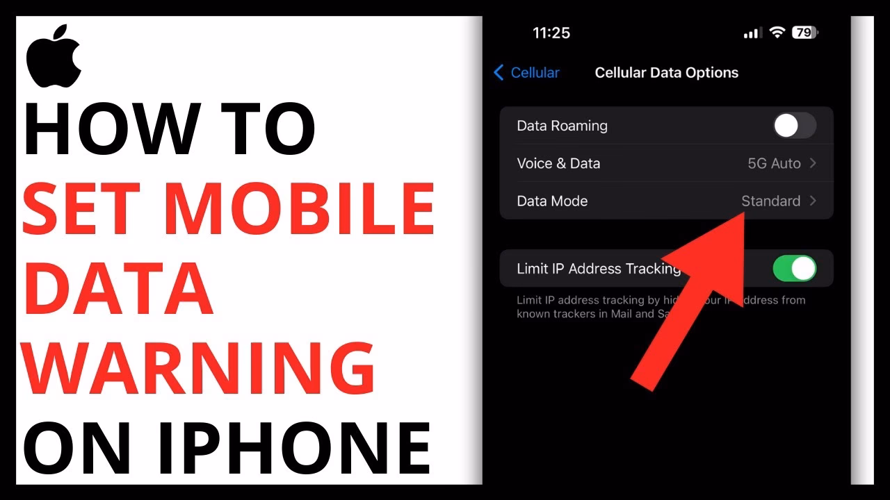 How do I Stop my iPhone from using cellular data?
