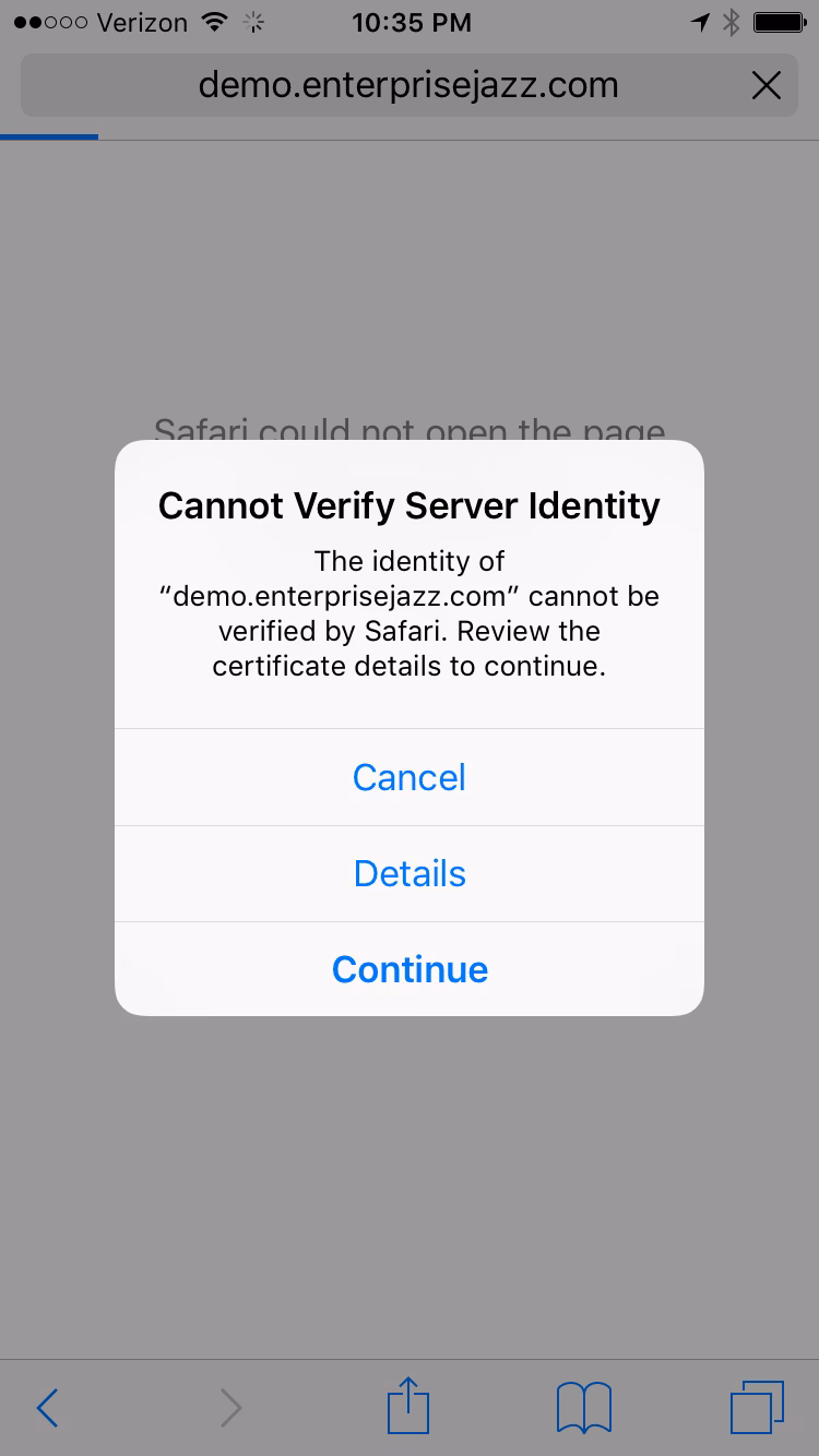 Why is my iPhone Not trusting a certificate?