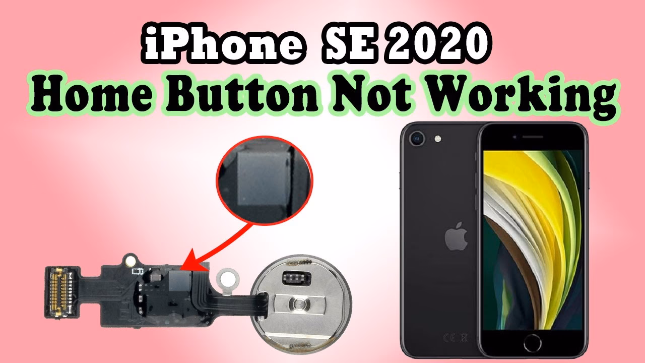 How to fix iPhone home button not working?