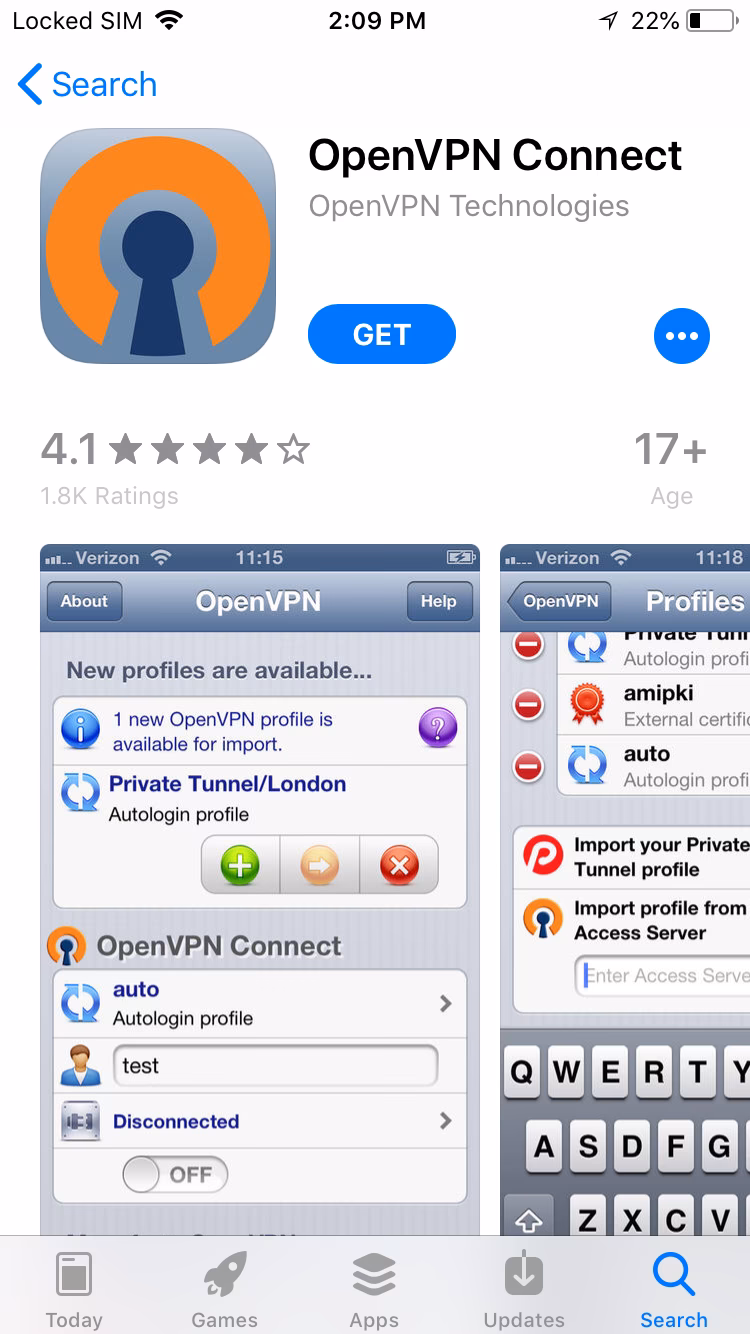 How do I install OpenVPN on my iPhone?