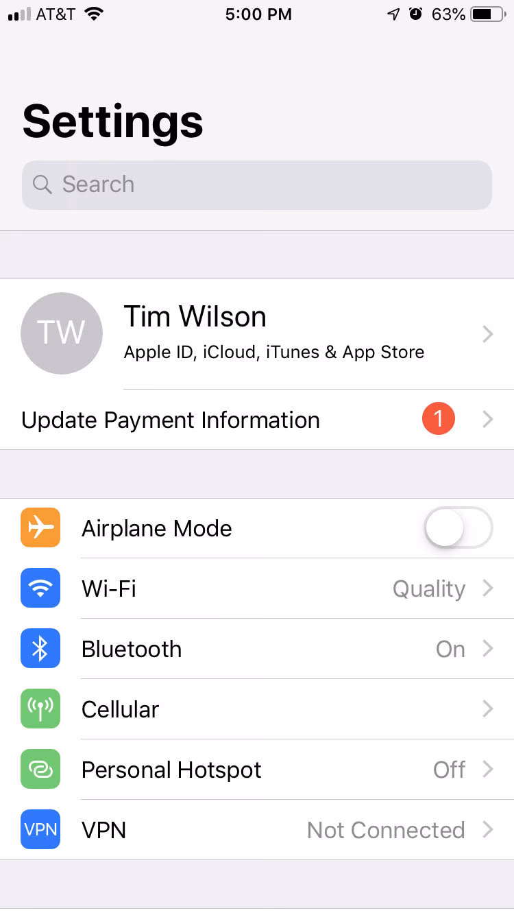 How do I update iTunes payment information on my iPhone?