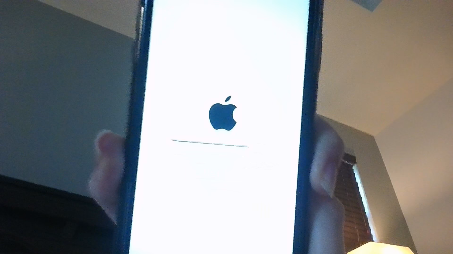 How to fix iPhone white screen of death?