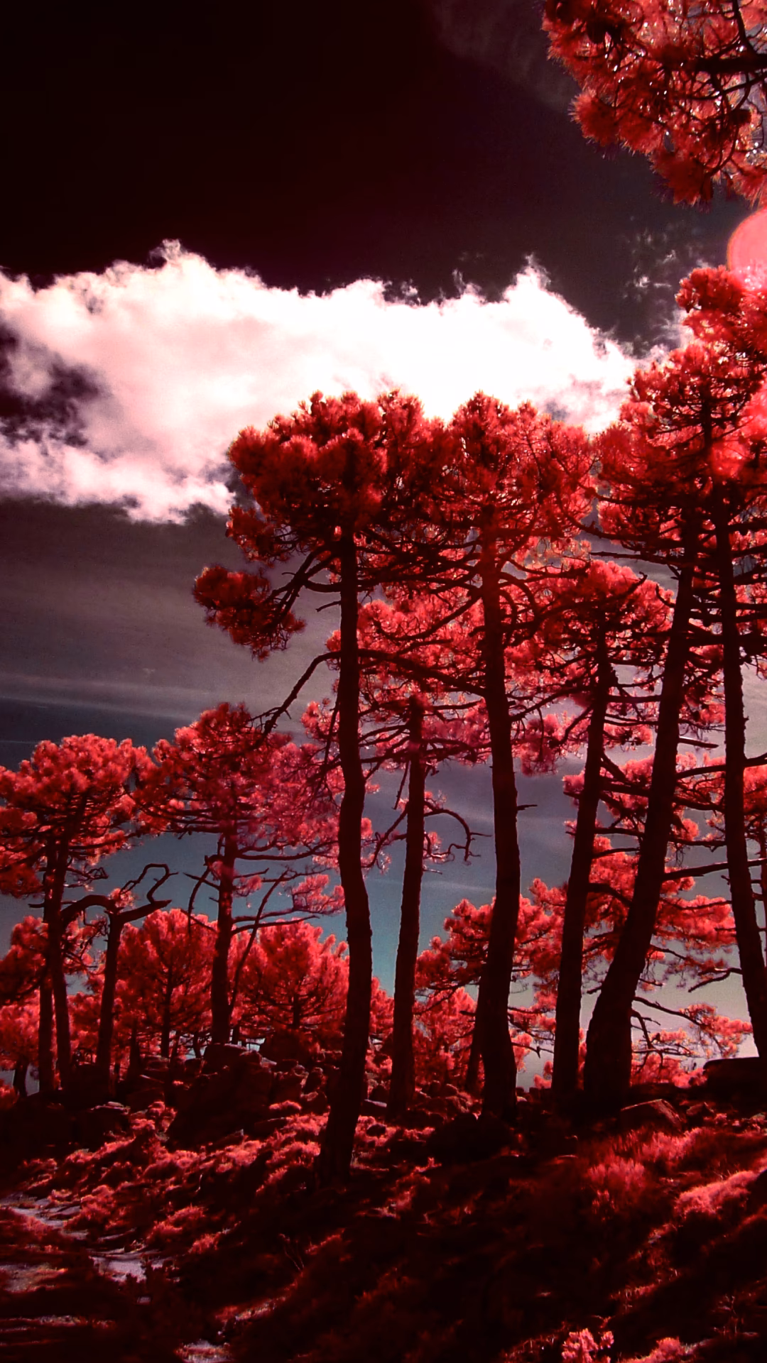 How many high resolution iPhone wallpapers are there?