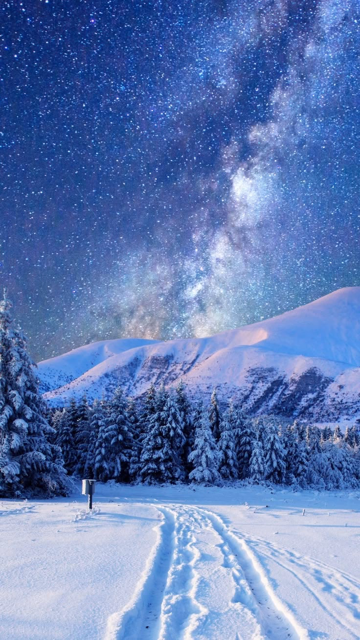 What is a good winter wallpaper?