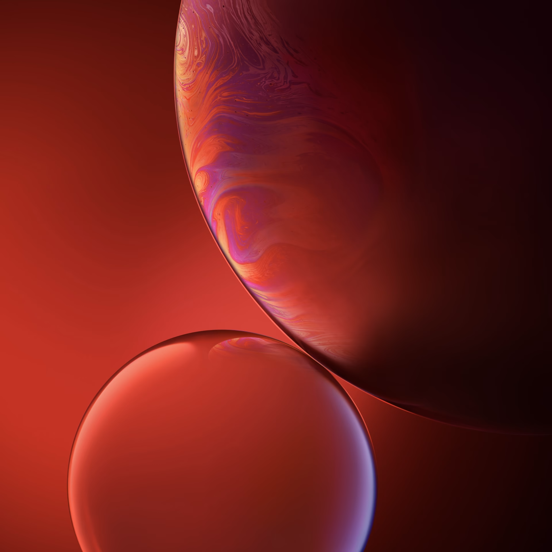 What is the resolution of iPhone XR?