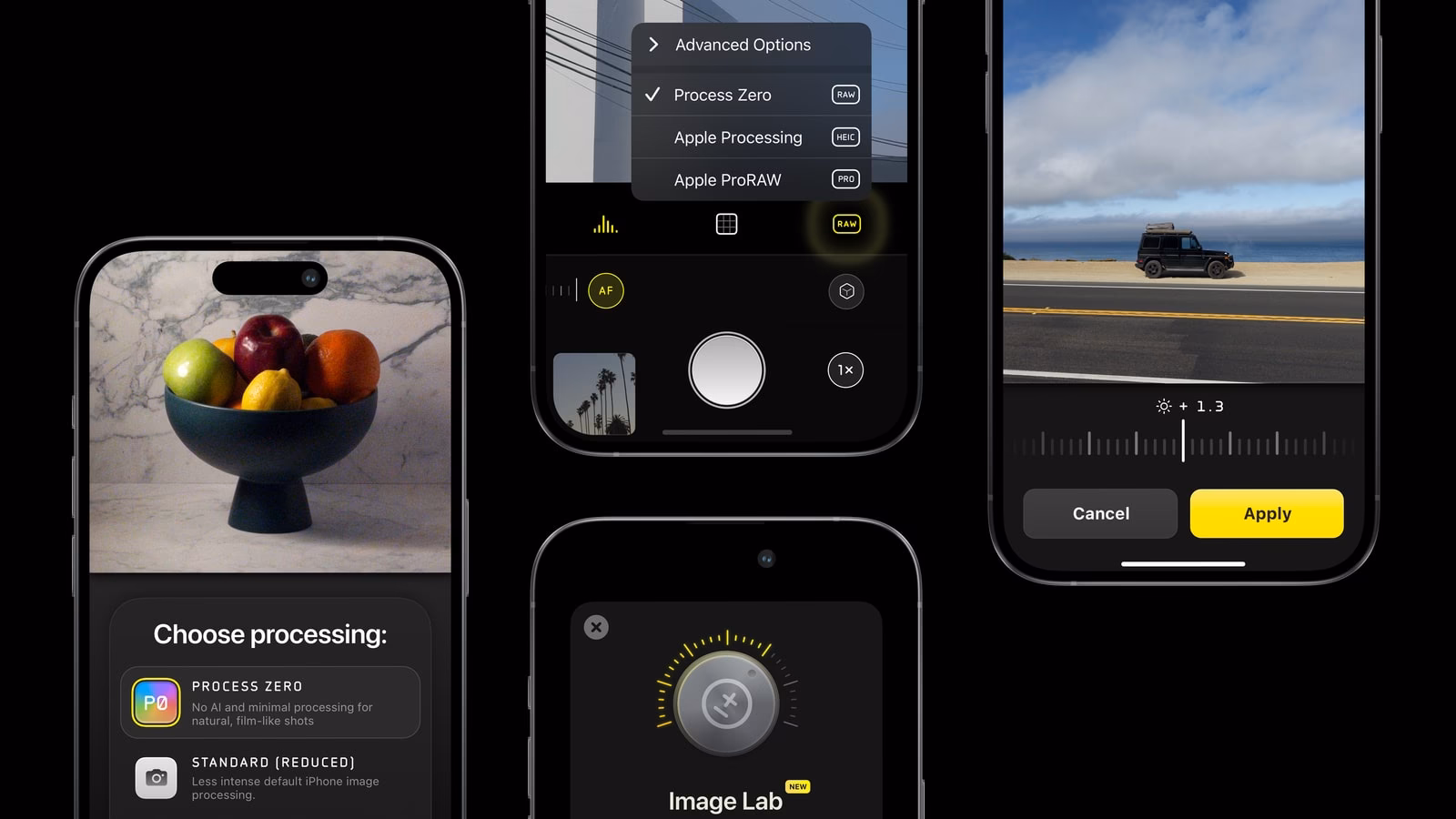 How do I use the Processing APP offline?