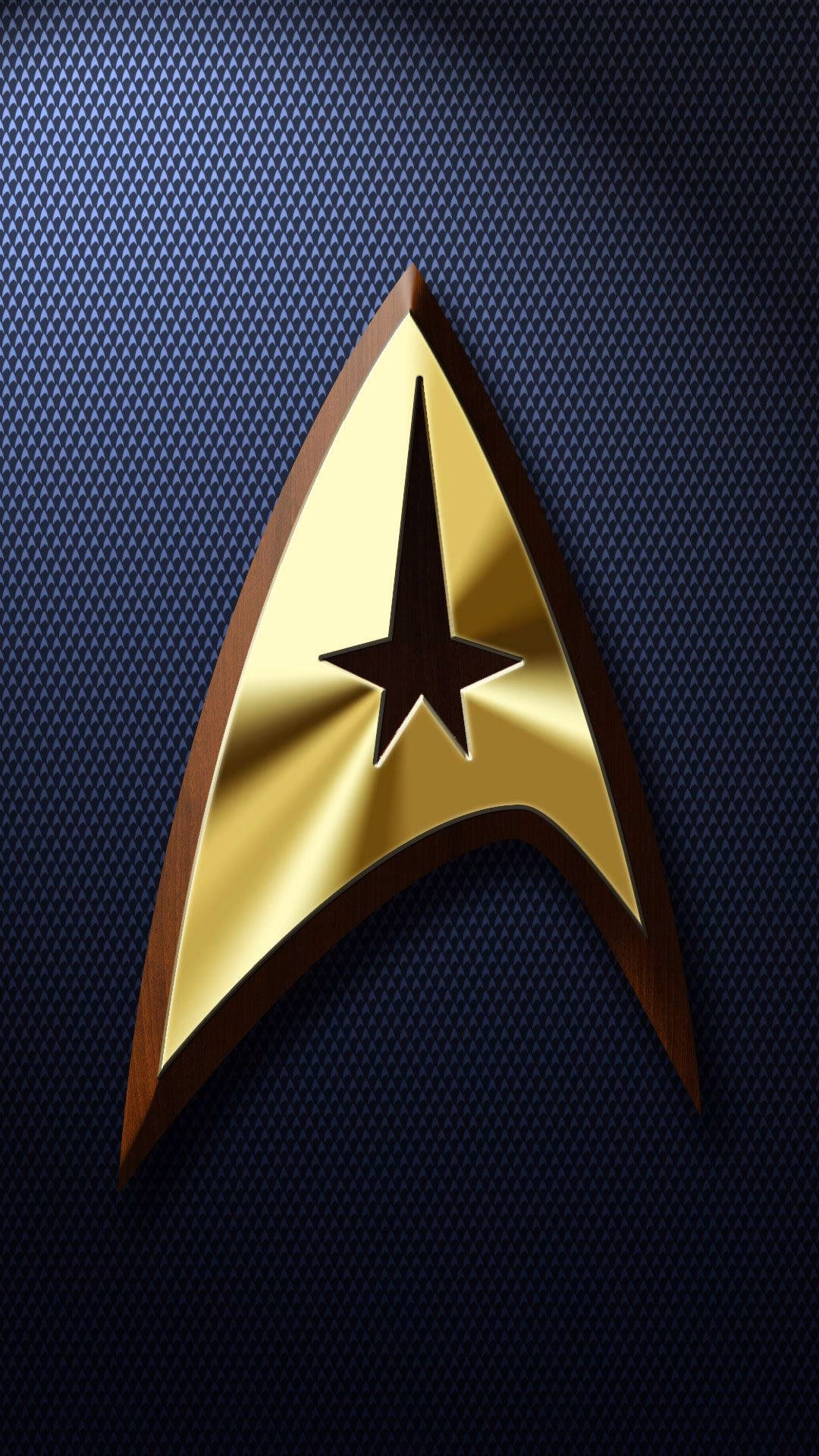What is HD Star Trek visualization Live Wallpaper free?